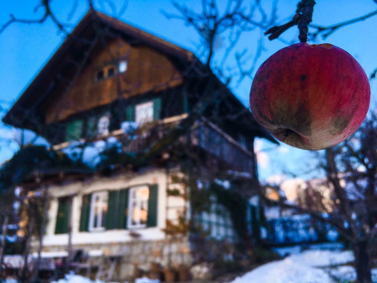 Bajtica Guesthouse Bled Dış mekan fotoğraf